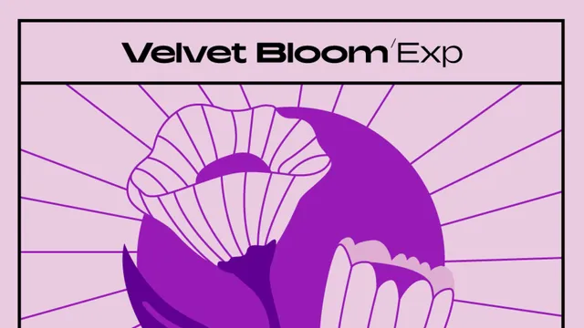 native-instruments-velvet-bloom-maschine-expansion-hip-hop-r-b image 1
