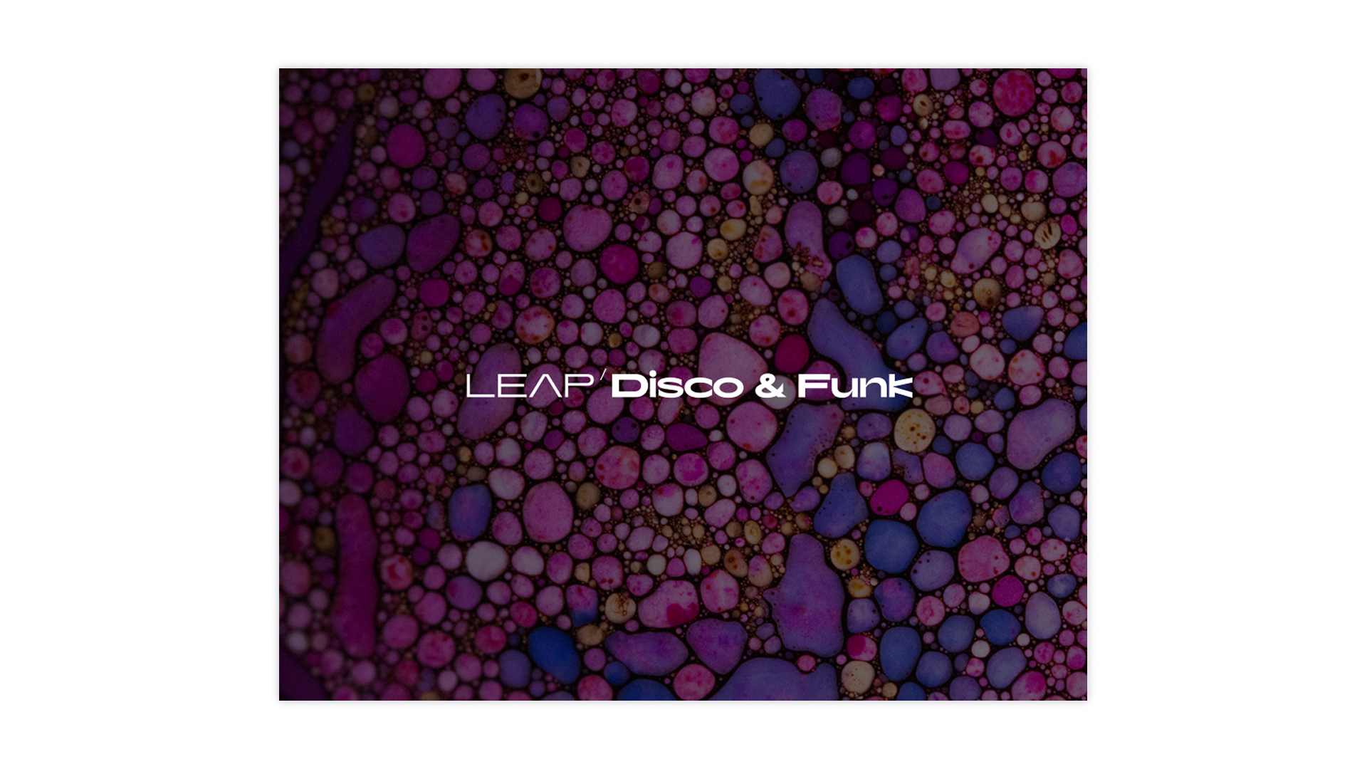 native-instruments-disco-and-funk-leap-expansion-sound-pack image 2