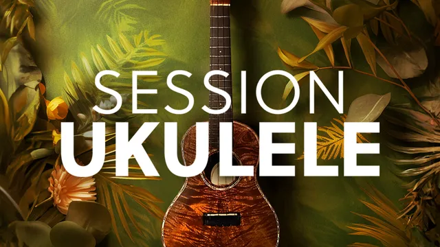 native-instruments-session-ukulele-kontakt-instrument-gitarre image 1
