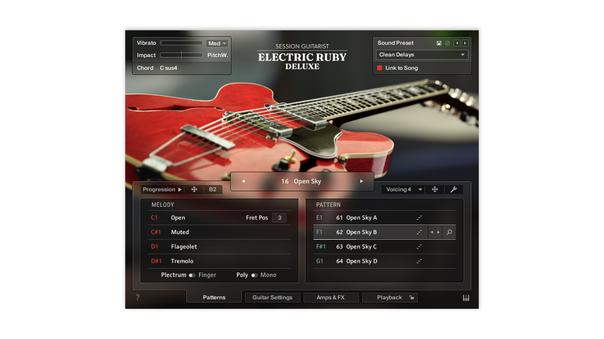 native-instruments-session-guitarist-electric-ruby-deluxe-virtuelles-gitarren-in image 2