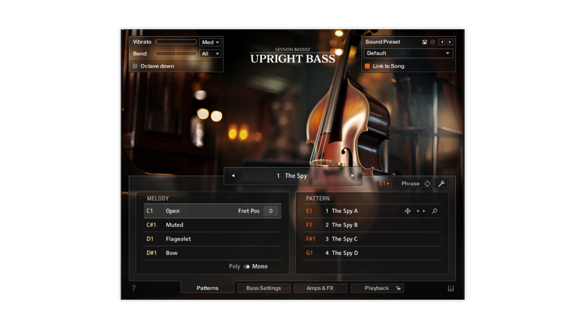 native-instruments-session-bassist-upright-bass-kontakt-bass-instrument image 2