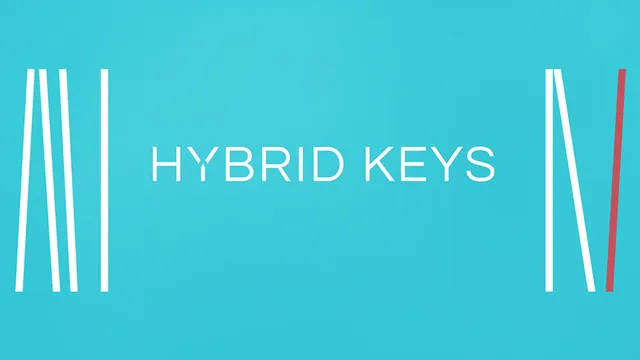 native-instruments-hybrid-keys-play-series-instrument-download image 1