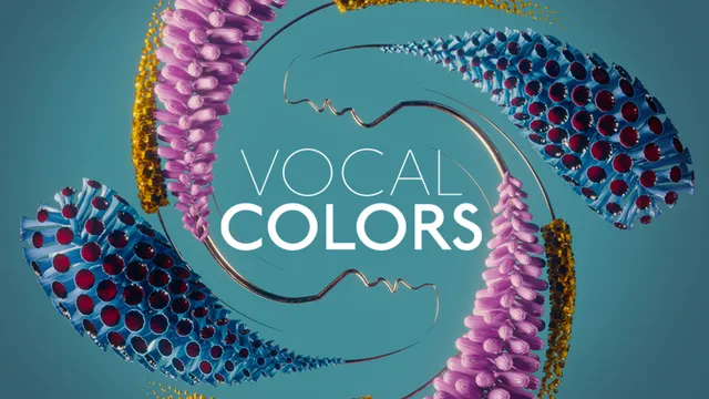 native-instruments-vocal-colors-kontakt-vocal-instrument-komplete-serie image 1