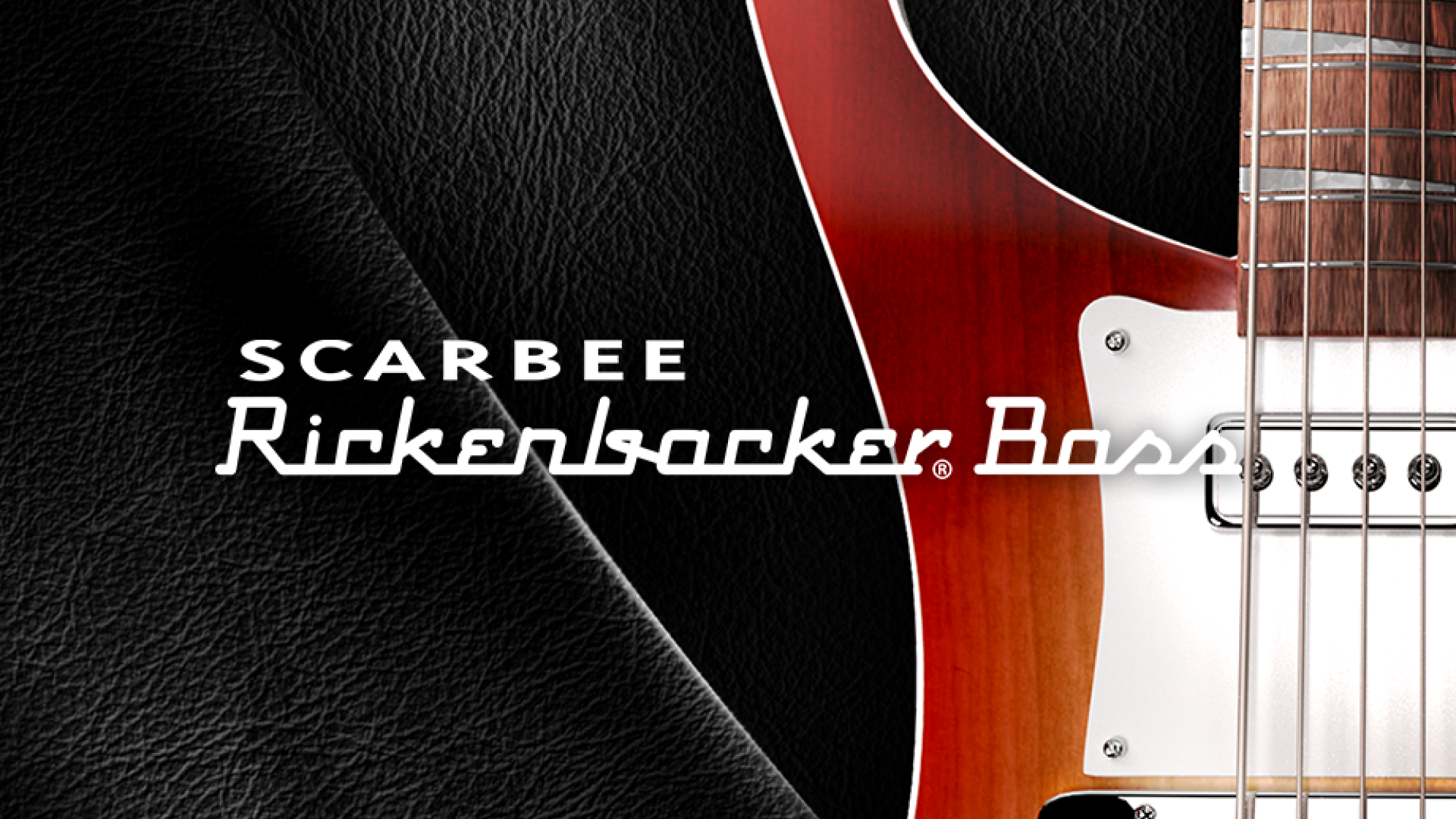 native-instruments-scarbee-rickenbacker-bass-virtueller-e-bass image 1