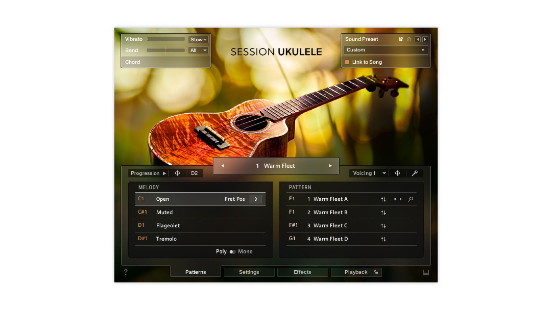 native-instruments-session-ukulele-kontakt-instrument-gitarre image 2
