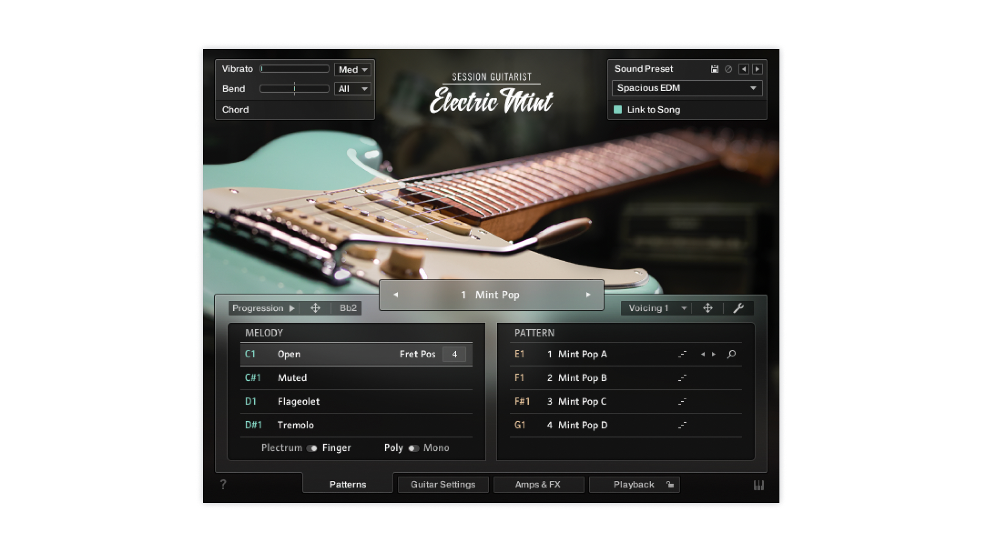 native-instruments-session-guitarist-electric-mint-virtuelle-e-gitarre image 2