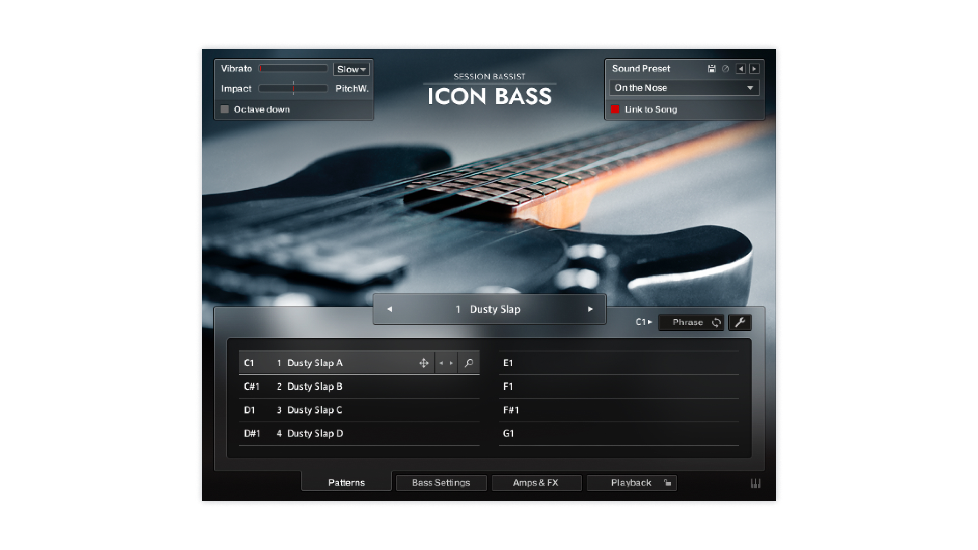native-instruments-session-bassist-icon-bass-kontakt-e-bass-instrument image 2