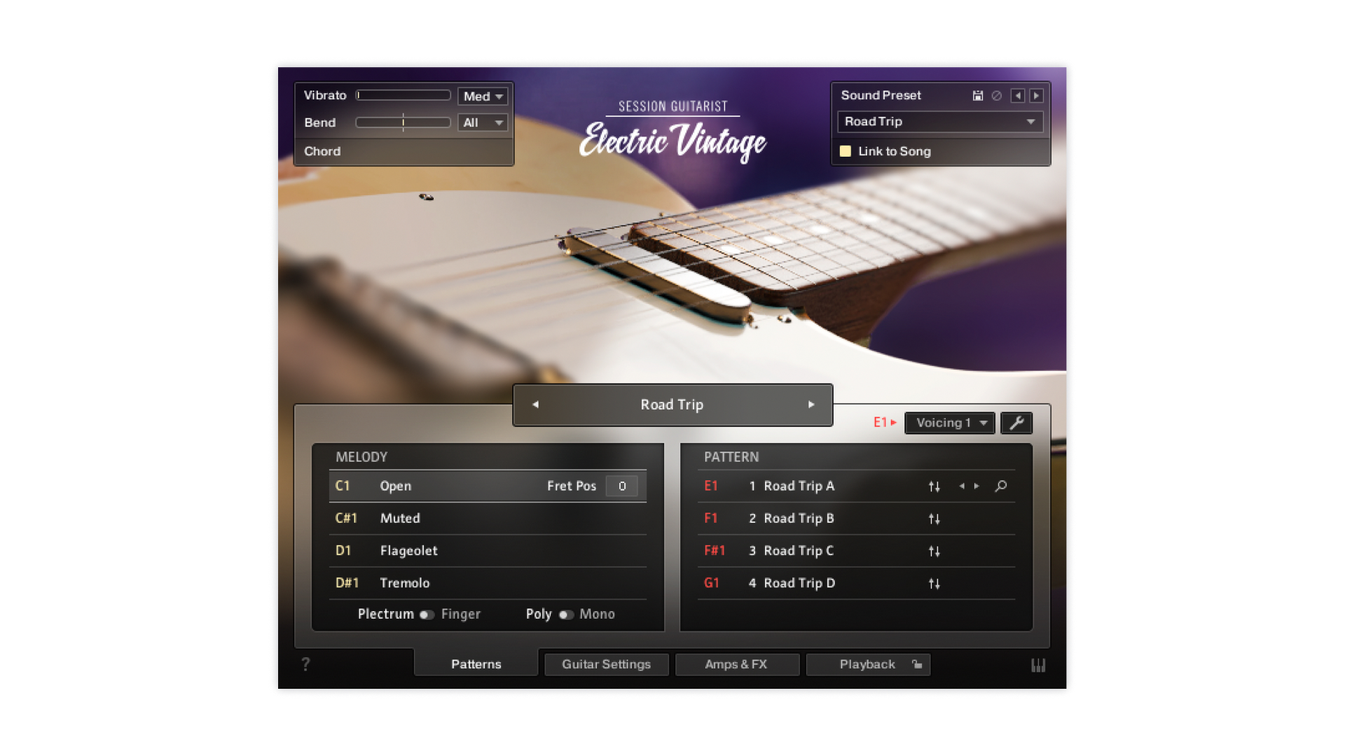 native-instruments-session-guitarist-electric-vintage-virtuelle-e-gitarre image 2