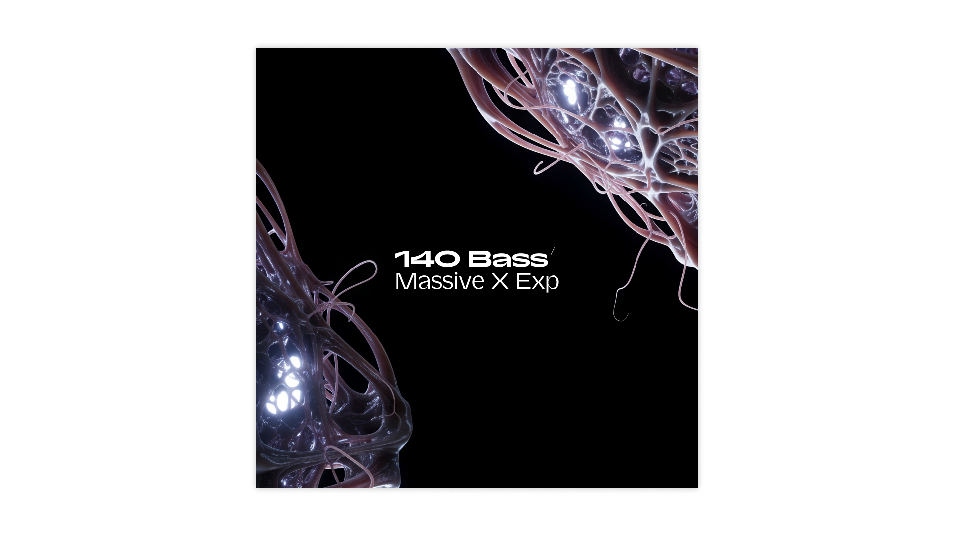 native-instruments-140-bass-massive-x-expansion-sounds image 2