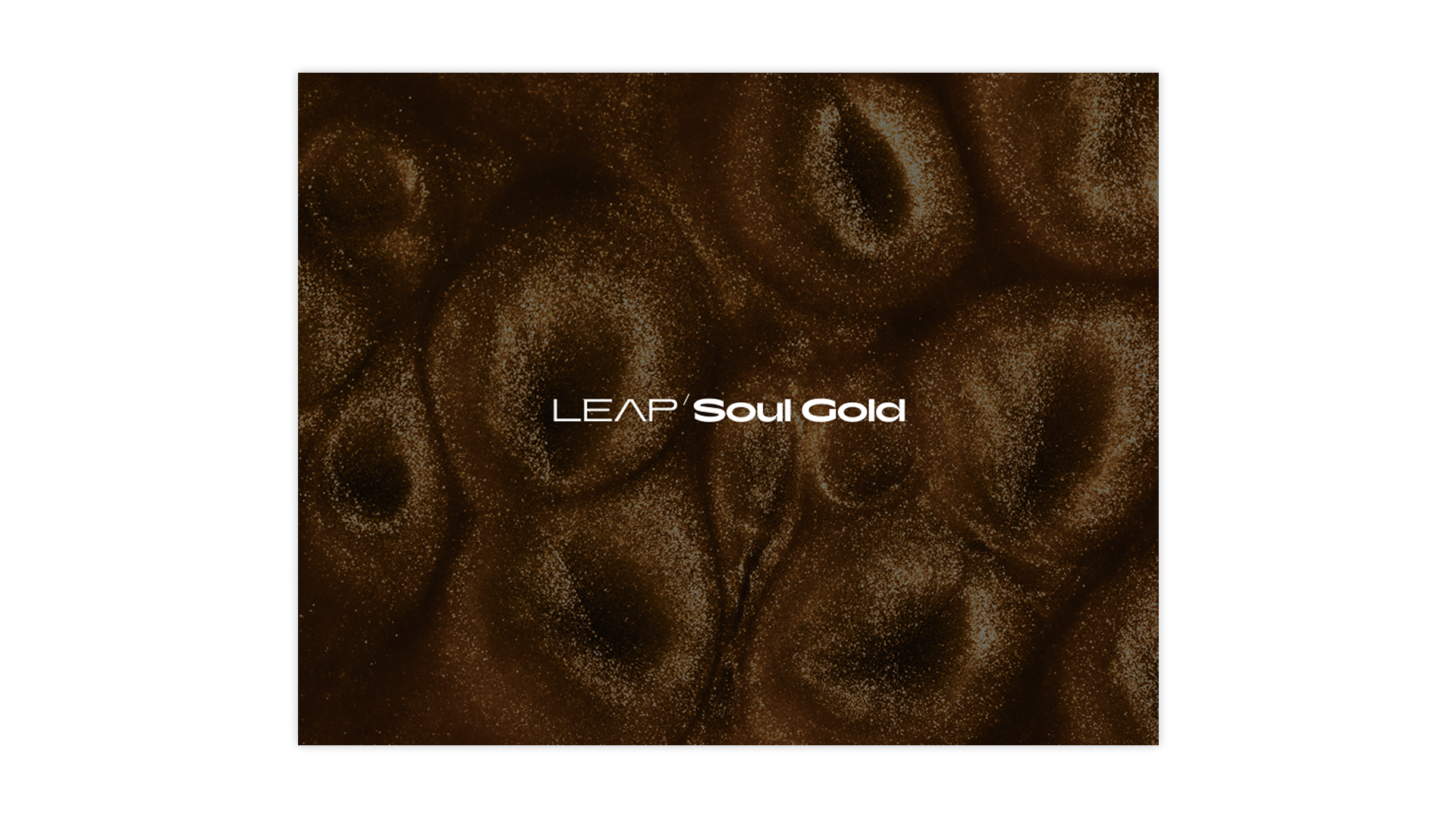 native-instruments-soul-gold-leap-expansion-sounds image 2