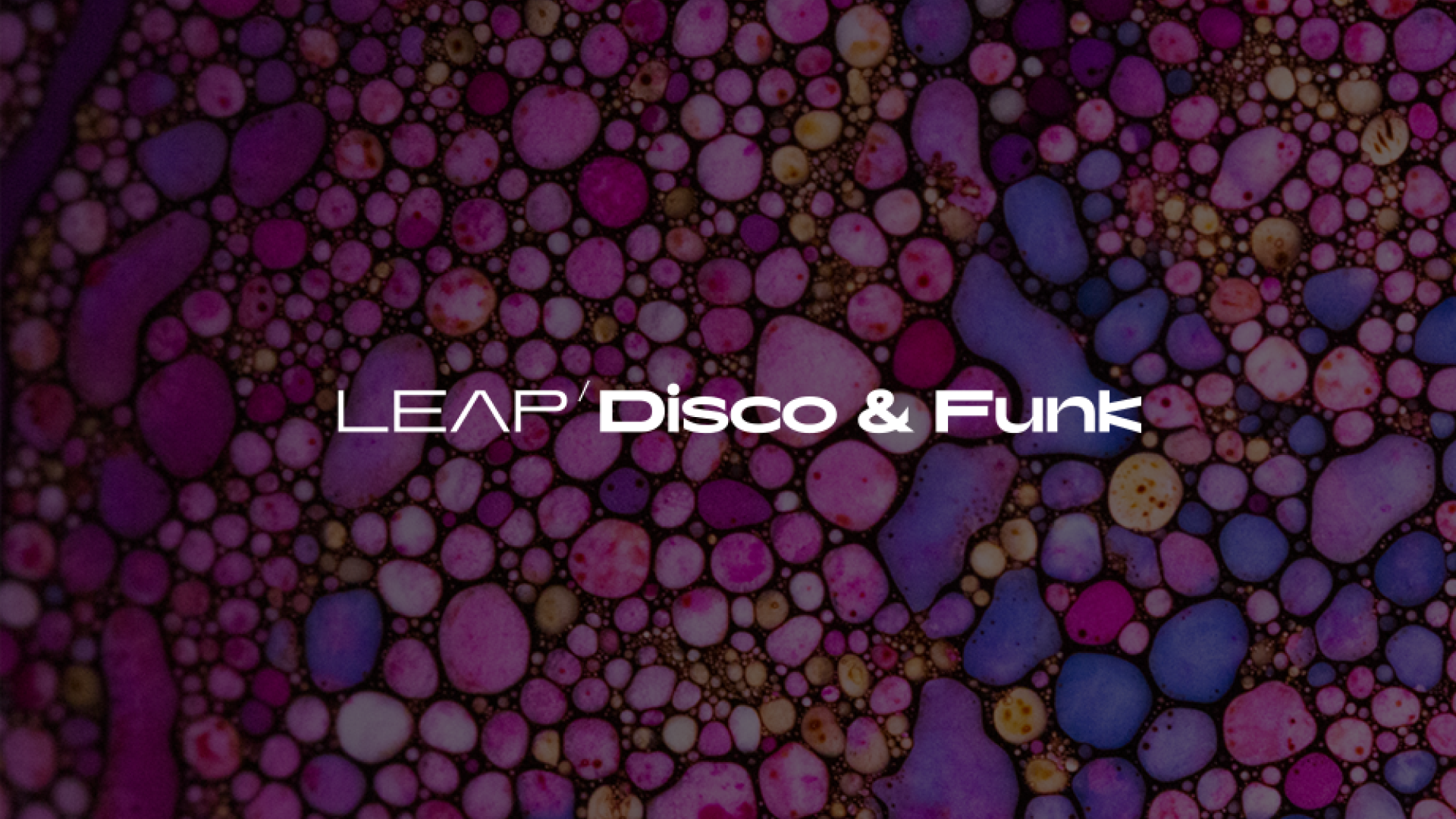 native-instruments-disco-and-funk-leap-expansion-sound-pack image 1
